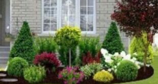 landscaping ideas