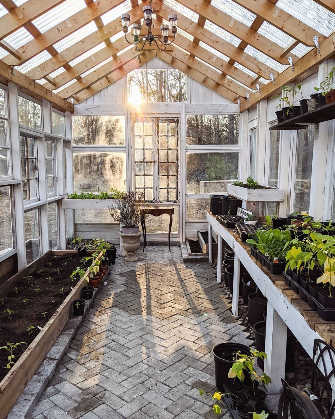 Greenhouses: A Haven for Backyard Gardening