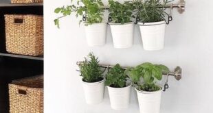 indoor herb garden