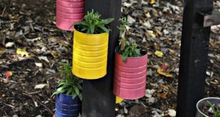 childrens garden ideas