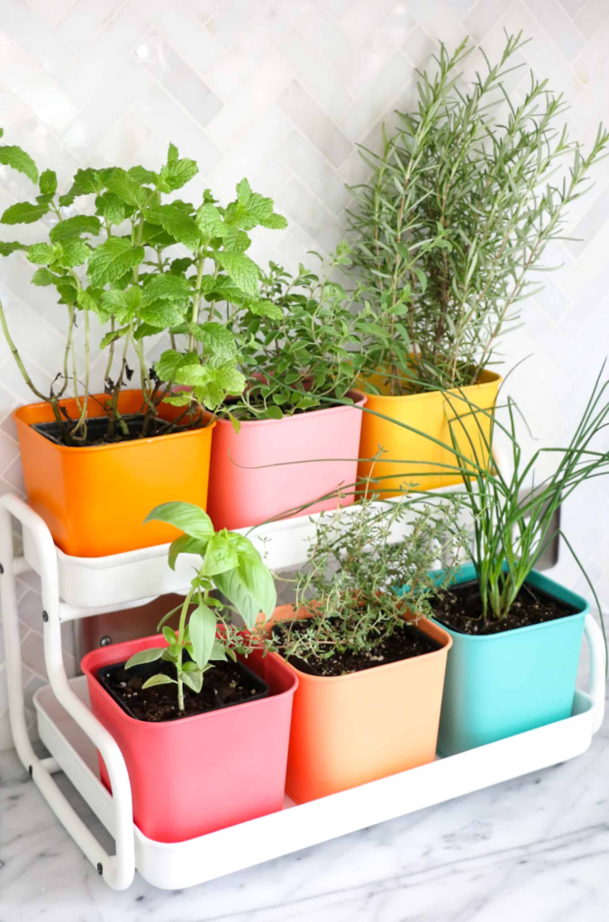 indoor herb garden