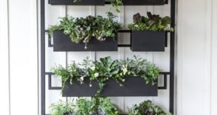 herb garden outdoor planter