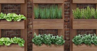 vertical gardening