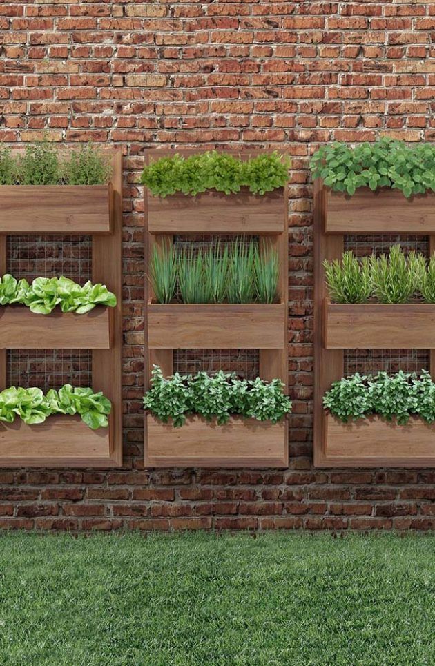 Growing Up: A Guide to Vertical Gardening