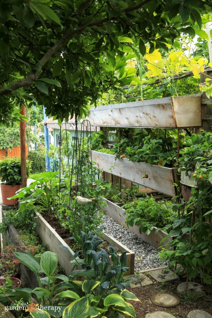 Growing Up: The Art of Vertical Gardening