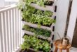 vertical gardening