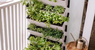 vertical gardening