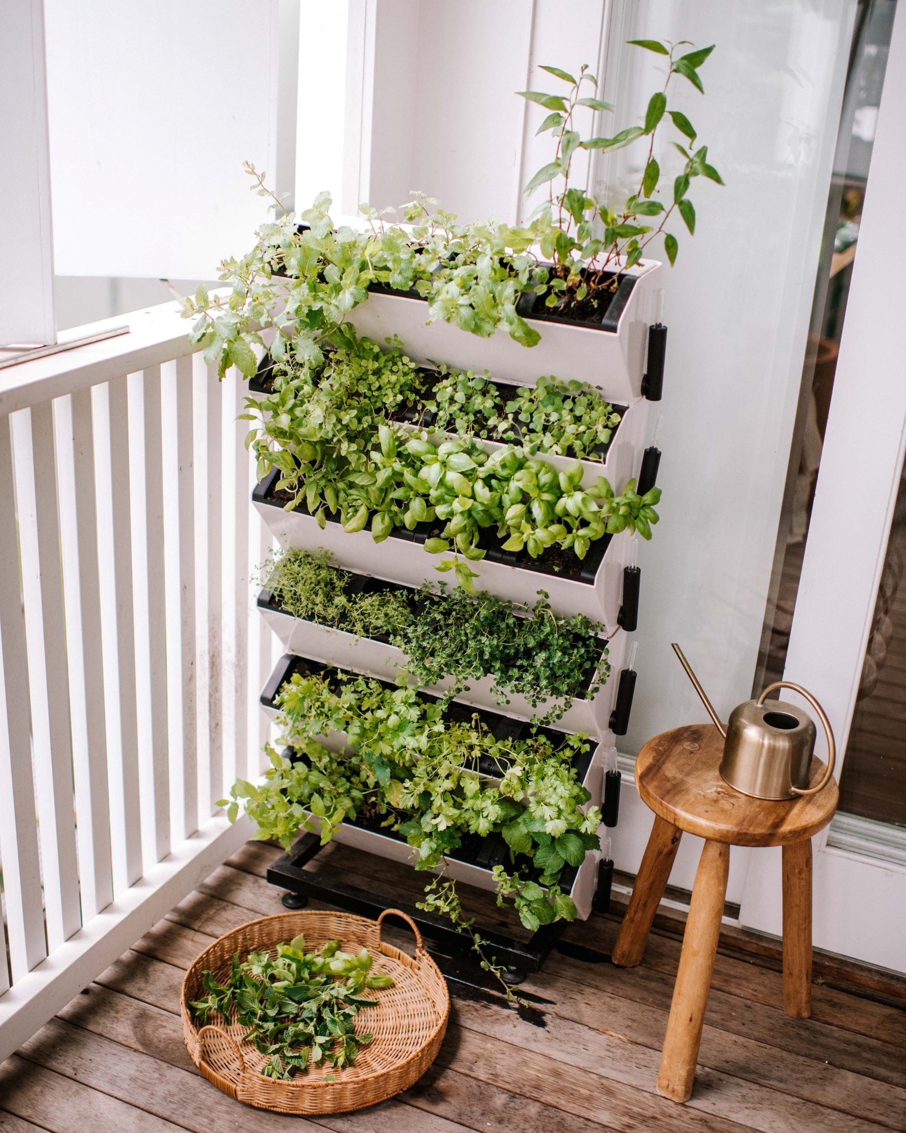 Growing Up: The Benefits of Vertical Gardening