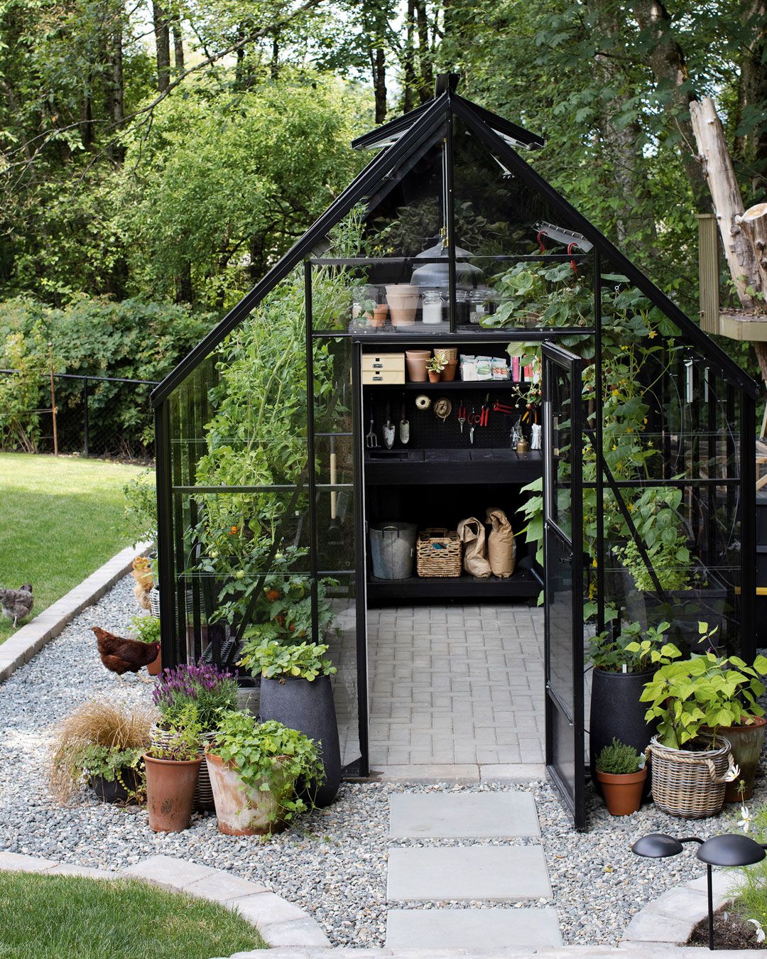 Growing Your Own: A Guide to Backyard Greenhouses