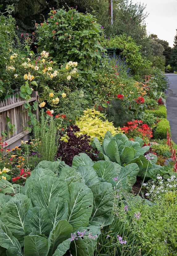 edible landscaping