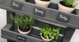 indoor herb garden