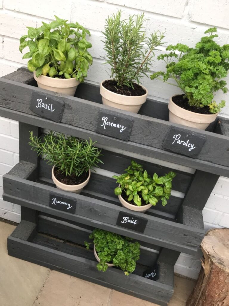 indoor herb garden