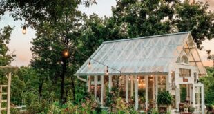 backyard greenhouse