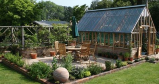 backyard greenhouse