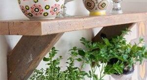 kitchen herb garden planter