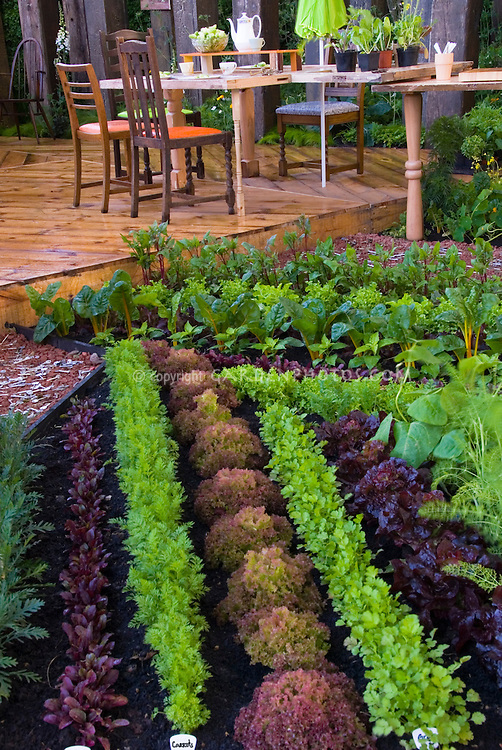 Growing an Abundant Garden: The Art of Edible Landscaping