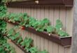 backyard vegetable garden ideas