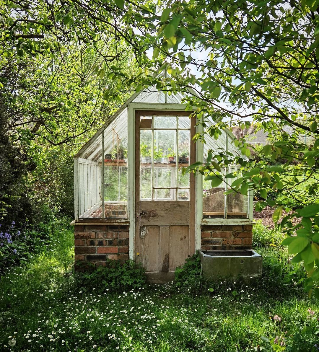 Growing your plants with care: The
benefits of a garden greenhouse