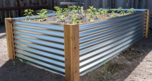 raised garden beds diy