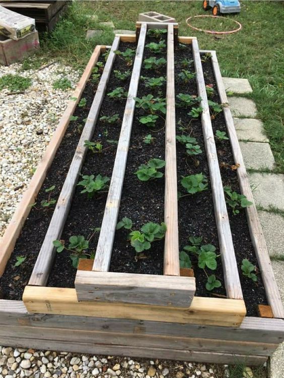 How to Build Your Own Raised Garden Beds from Scratch