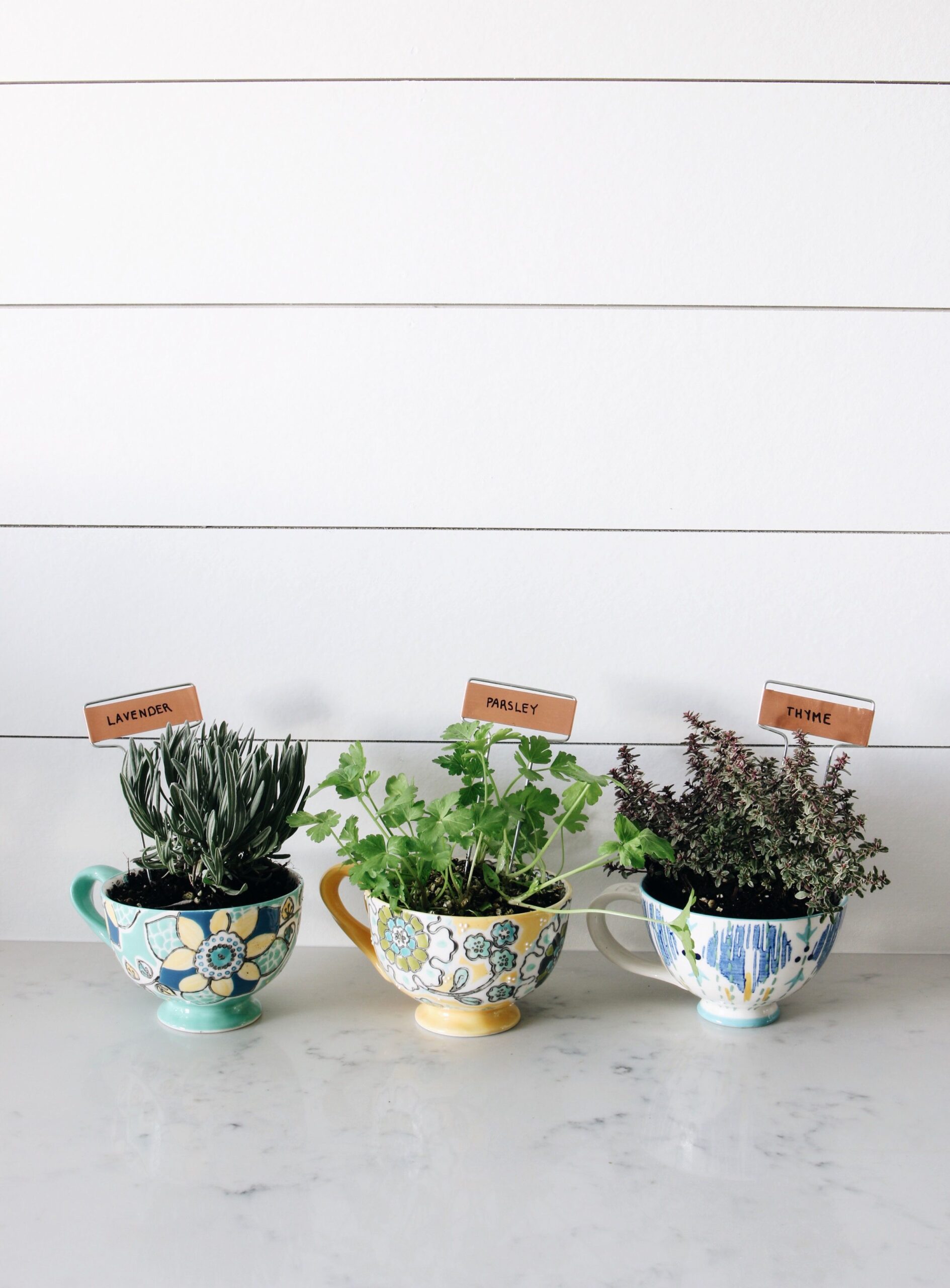 How to Create a Charming Herb Garden Planter for Your Kitchen