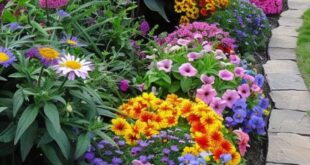 landscaping flower beds