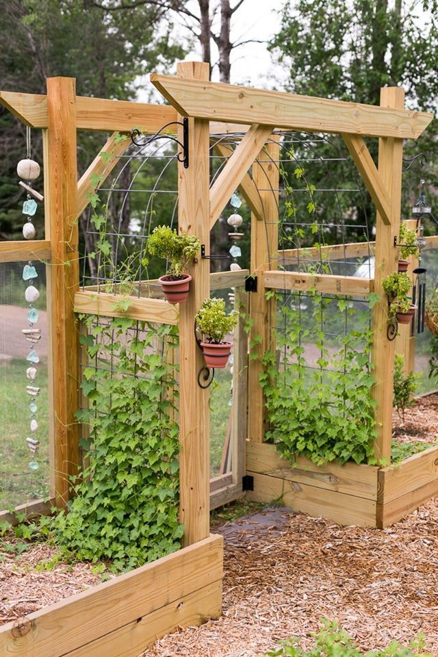 How to Plan Your Vegetable Garden for Optimal Growth