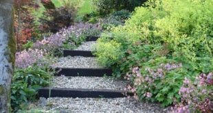 landscaping steps on a slope