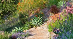 landscaping on a slope