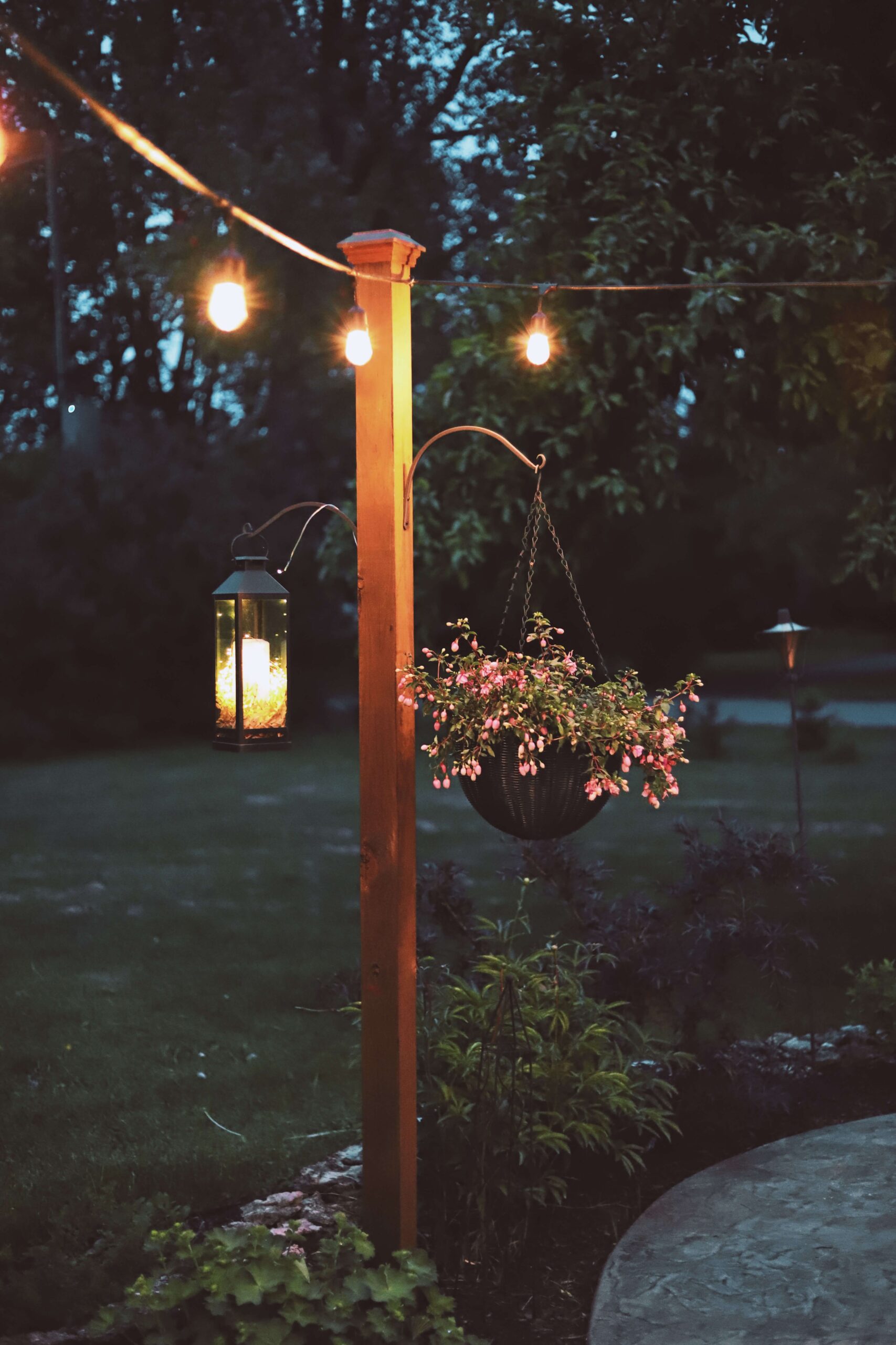 Illuminate Your Backyard with Beautiful Lights