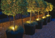 garden lighting ideas