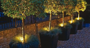 garden lighting ideas