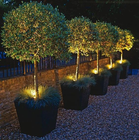 Illuminate Your Garden: Creative Lighting Ideas for a Luminous Outdoor Space