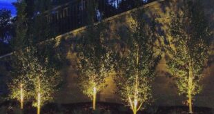 landscape lighting design