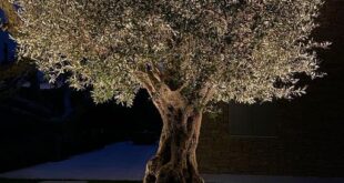 landscaping lighting