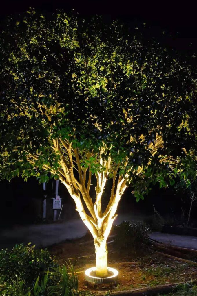 outdoor lighting