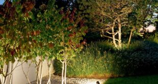 landscaping lighting