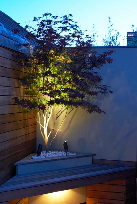 Illuminate Your Small Garden with These Charming Lighting Ideas