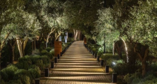 landscape lighting design