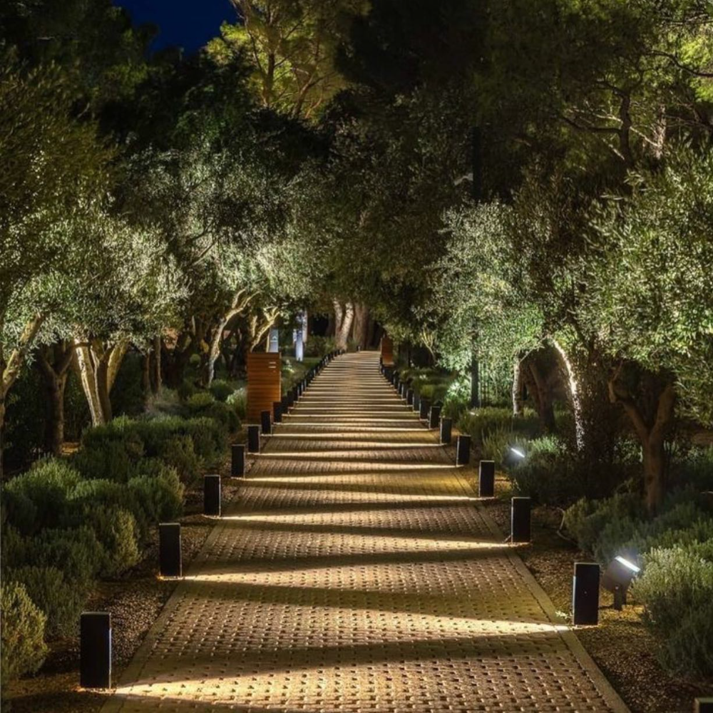 Illuminating the Beauty: A Guide to Landscape Lighting Design