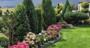 flower garden ideas in front of house