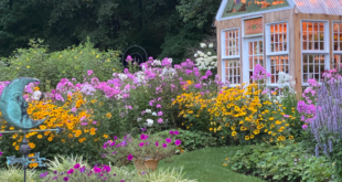 cottage gardens