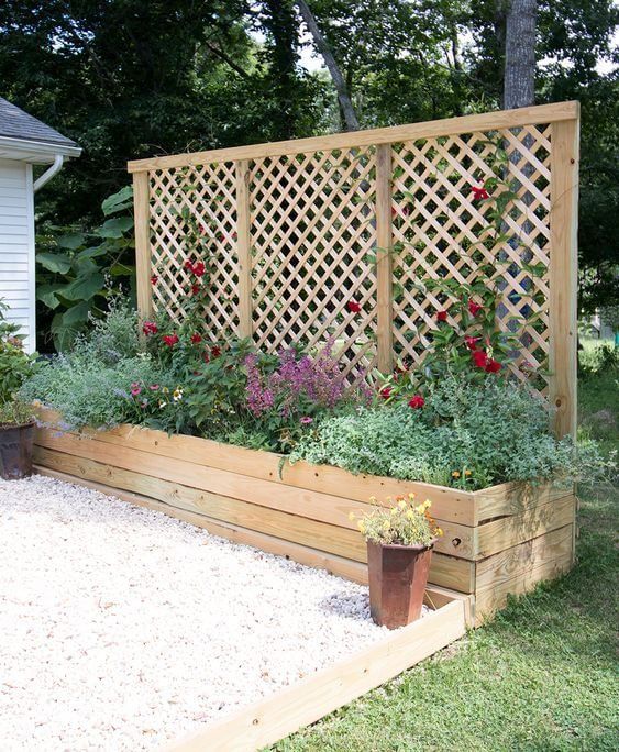 Inexpensive DIY Garden Fence Design Ideas