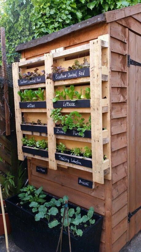 garden ideas diy