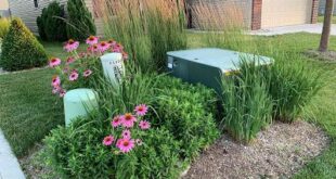 landscaping to hide utility boxes