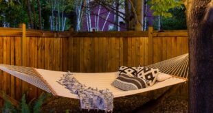 cool backyard ideas