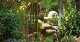 garden ideas backyard