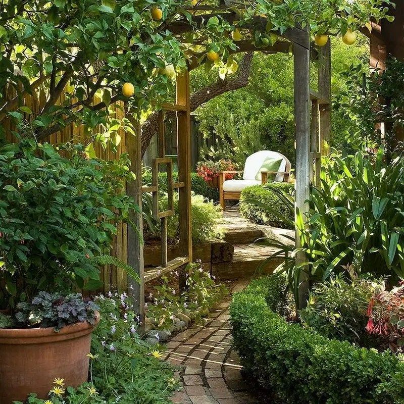 Innovative Backyard Garden Designs to Elevate Your Outdoor Space