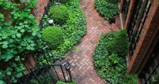 garden ideas long narrow