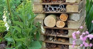 creative garden ideas